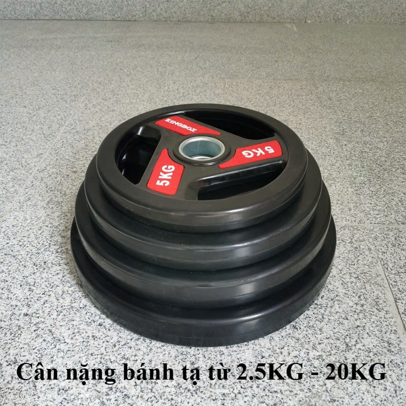 Tạ bánh, tạ đĩa bọc cao su KINGBOX