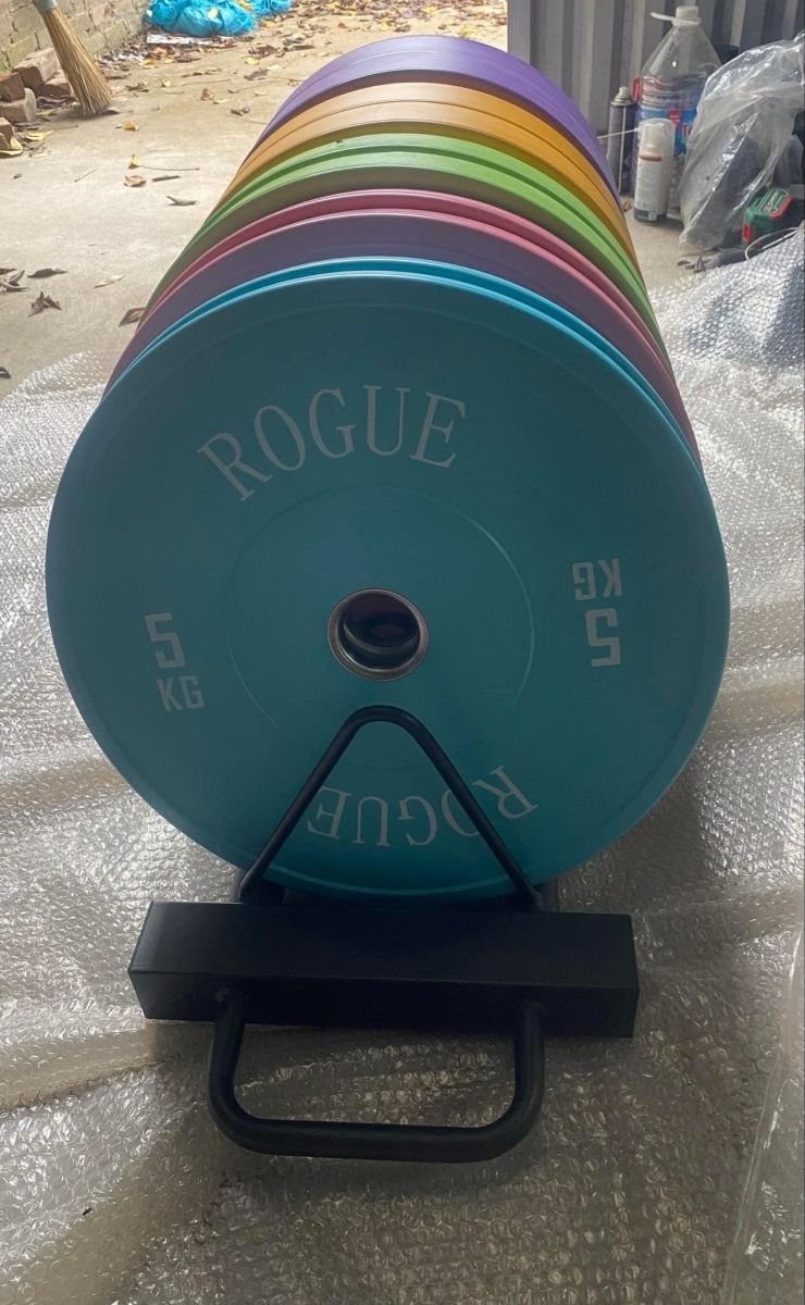Tạ bánh màu Rogue 15kg cao cấp