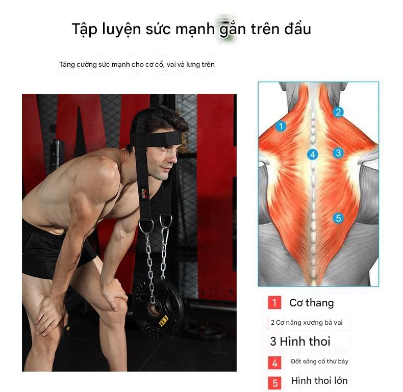 Mũ tập tạ đầu cổ Valeo chính hãng đai tập cơ cổ cao cấp